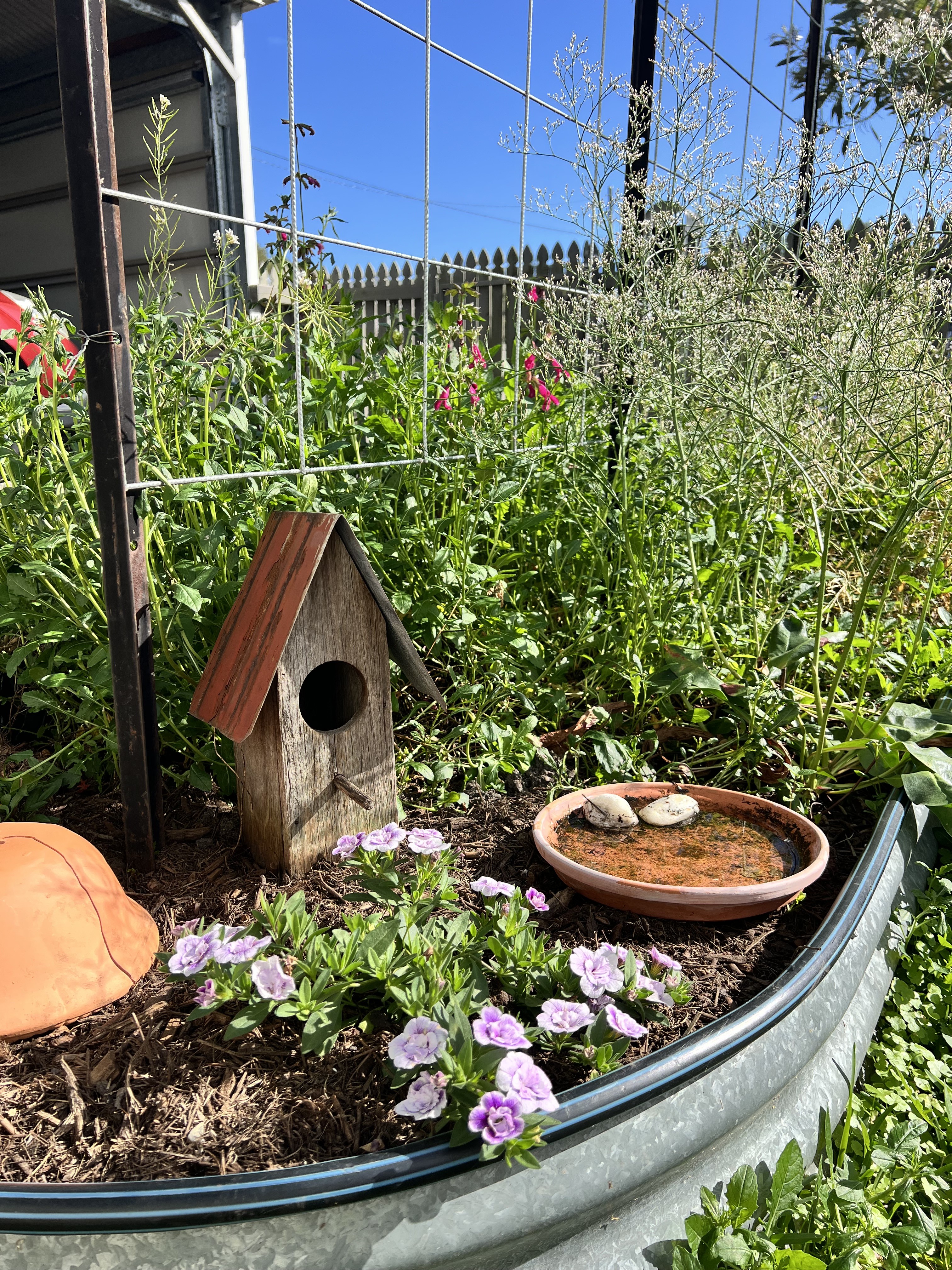 Spring has sprung!